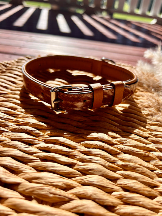 The Indie - Tooled Leather Dog Collar